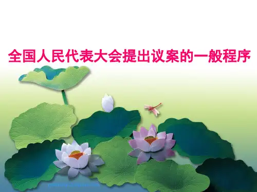 全国人大提出议案的一般程序文件