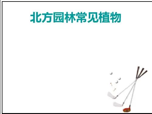 北方园林常见植物概论