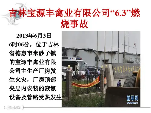 吉林宝源丰“13.6.3”重大火灾事故