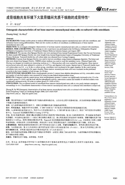 成骨细胞共育环境下大鼠骨髓间充质干细胞的成骨特性