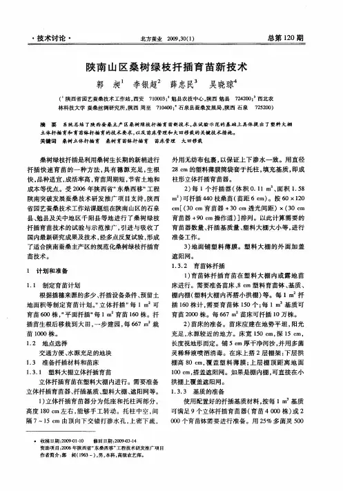 陕南山区桑树绿枝扦插育苗新技术