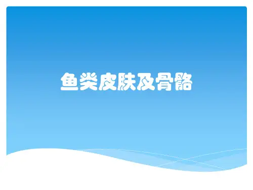 鱼类皮肤及骨骼