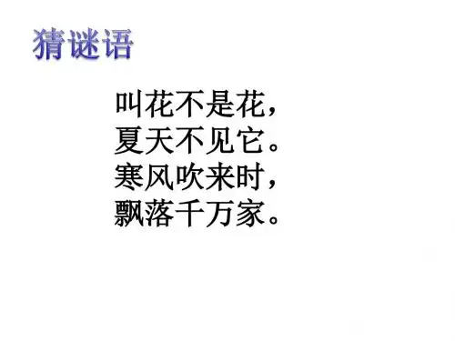 新版苏教版一年级语文上册10小雪花