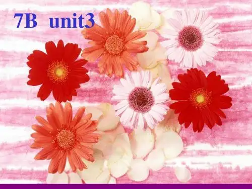 7B welcome