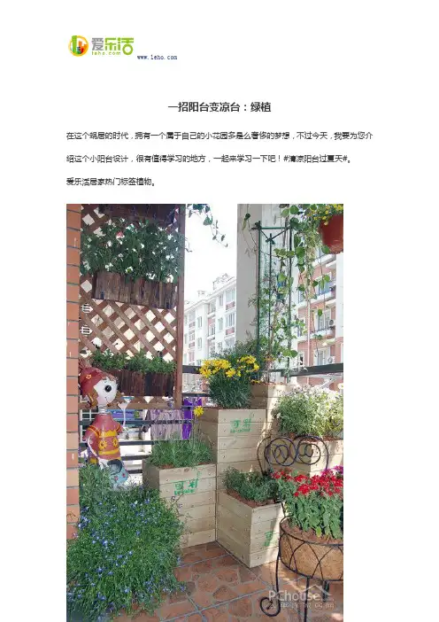 一招阳台变凉台：绿植