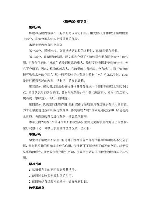苏教版科学三年级下册 6  《根和茎》教学设计