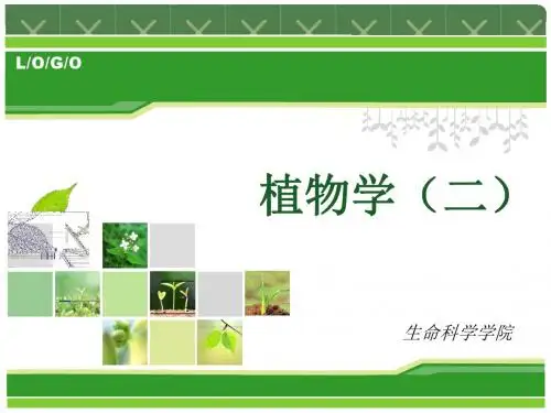 植物学下册
