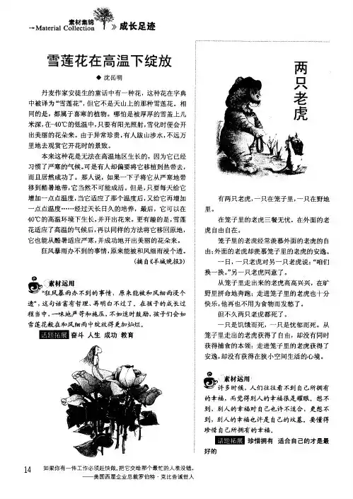 两只老虎