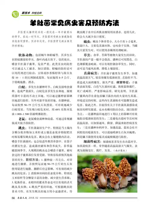 羊肚菌常见病虫害及预防方法