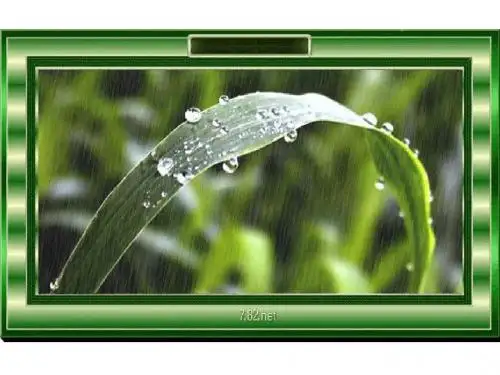 苏教版语文二年级下册《雨后》课件
