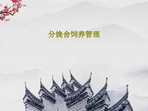 分娩舍饲养管理共133页