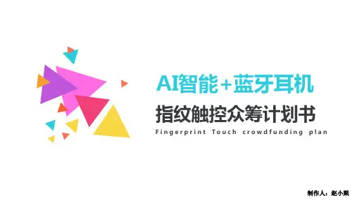 淘宝·天猫·阿里·百度·京东众筹计划书·项目计划书 (全行业通用)