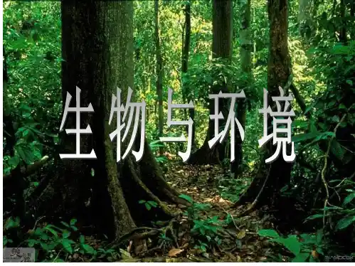 八年级生物下:第六单元第一章第一节生态系统的组成课件济南版