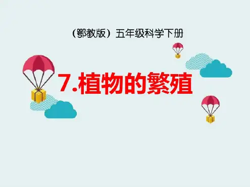 《植物的繁殖》课件