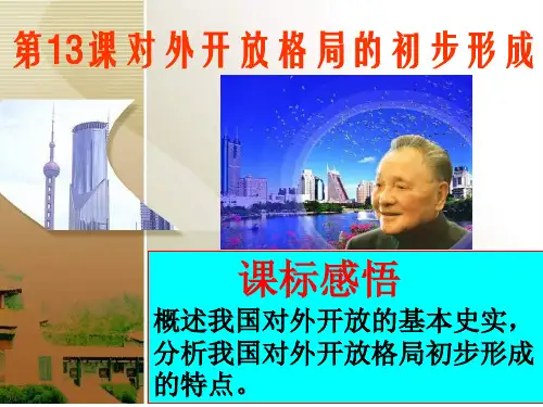 高一历史对外开放格局的初步形成