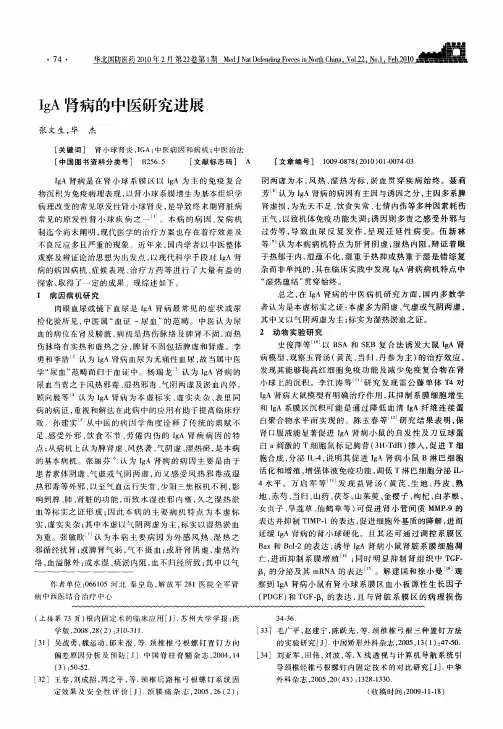 IgA肾病的中医研究进展