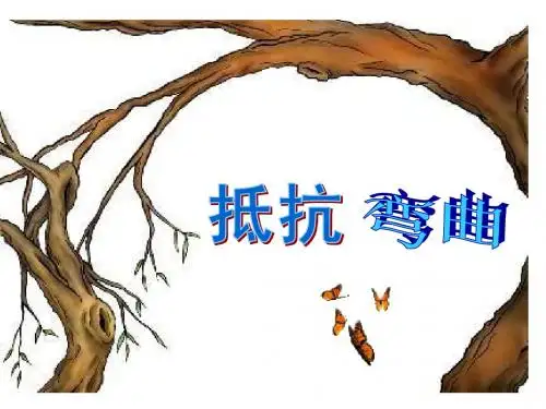抵抗弯曲PPT课件