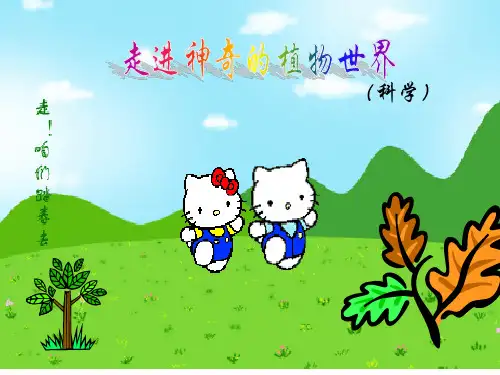 童星幼儿园大班社会《神奇的植物世界》PPT课件