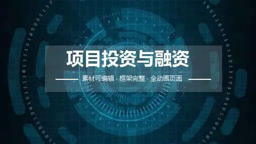 项目投资与融资ppt