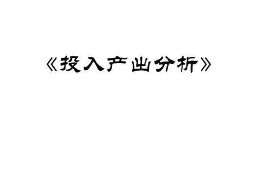 投入产出法概论PPT课件