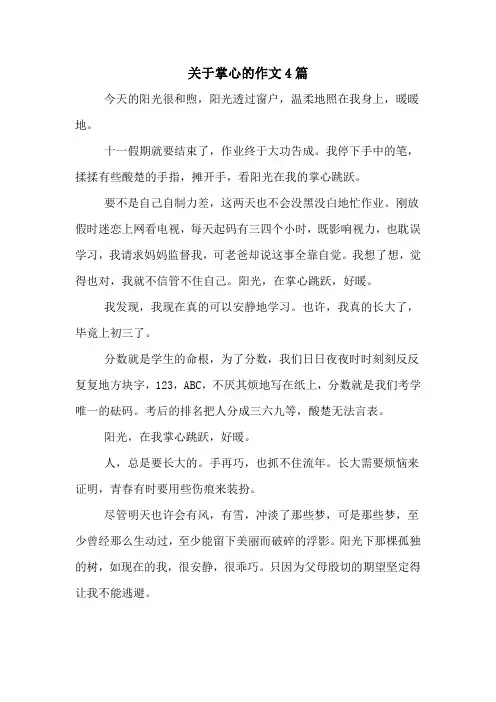 关于掌心的作文4篇