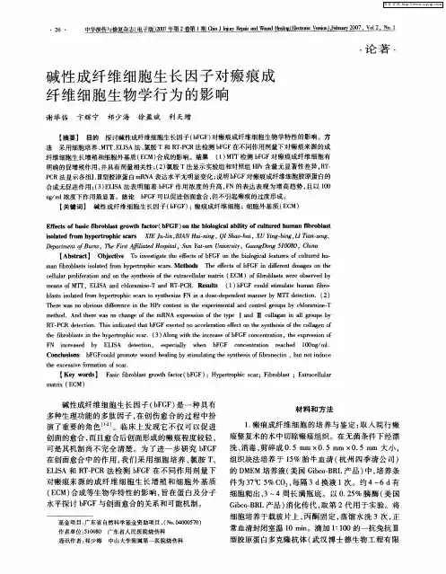 碱性成纤维细胞生长因子对瘢痕成纤维细胞生物学行为的影响