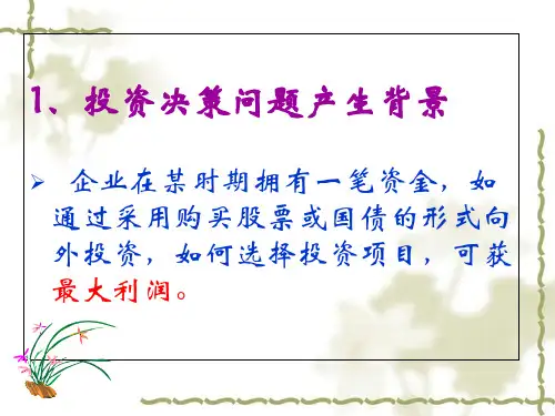 投资效益优化问题