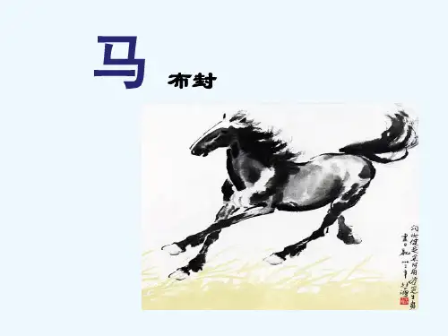 《马》课件1