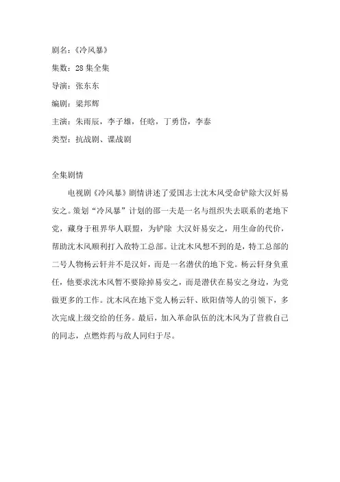 电视剧《冷风暴》剧情介绍
