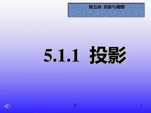 北师大版九年级数学上册投影教学课件