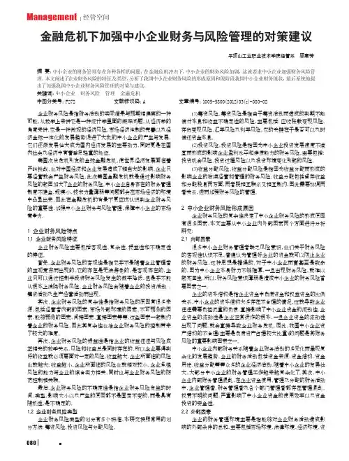 金融危机下加强中小企业财务与风险管理的对策建议