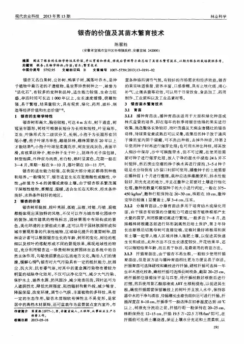 银杏的价值及其苗木繁育技术
