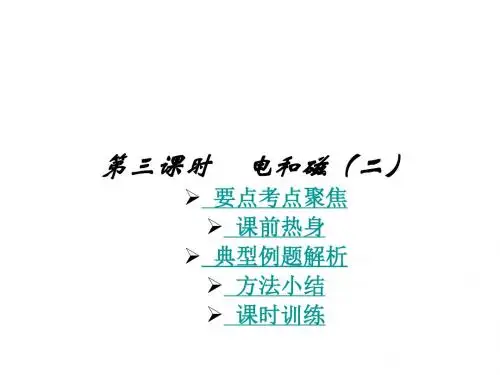 中考物理电和磁2