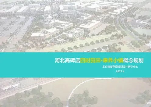 特色小镇概念规划