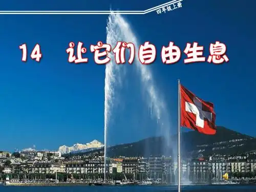 14.让它们自由生息