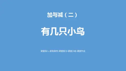 《有几只小鸟》北师大版一年级数学上册课件PPT(4篇)