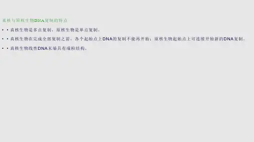RNA的转录原核PPT课件