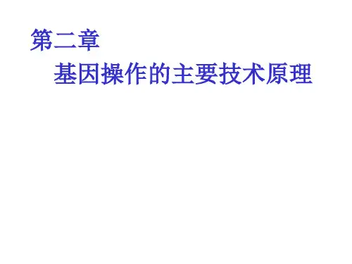 基因操作原理