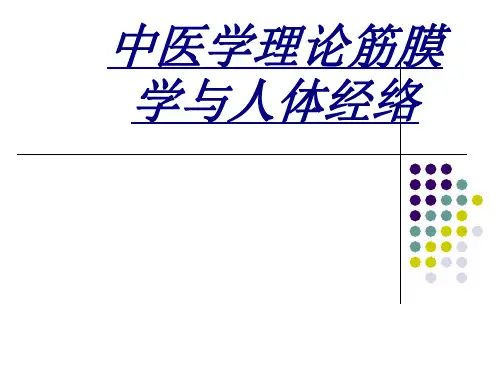 中医学理论筋膜学与人体经络讲义