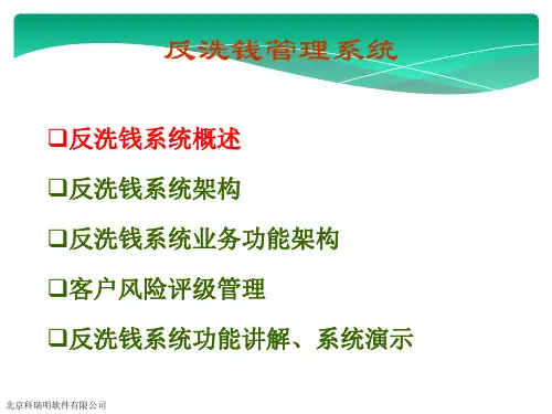 反洗钱管理系统共73页