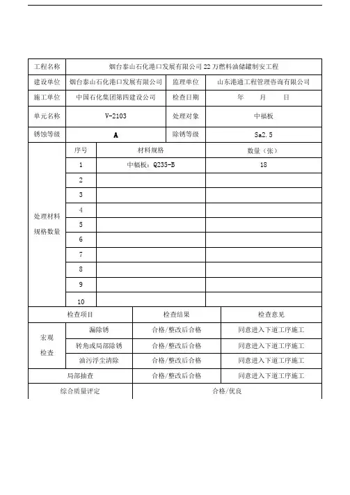 钢材表面处理检查记录表