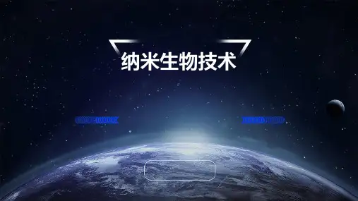 纳米生物技术