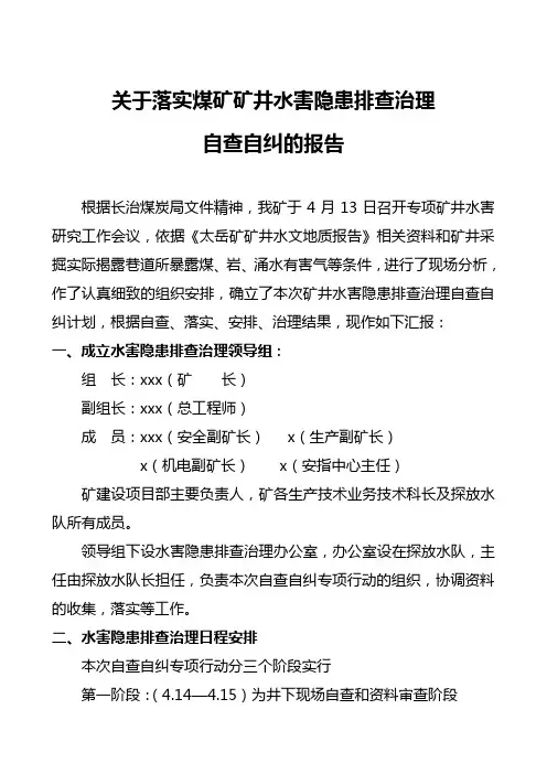 水害隐患排查治理报告
