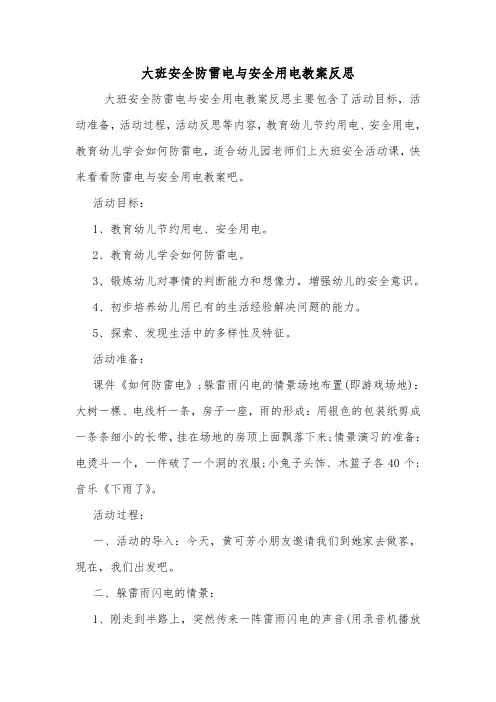 大班安全防雷电与安全用电教案反思.doc