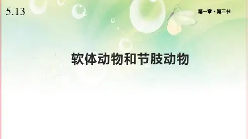 1人教版八年级生物上册《软体动物和节肢动物》课件