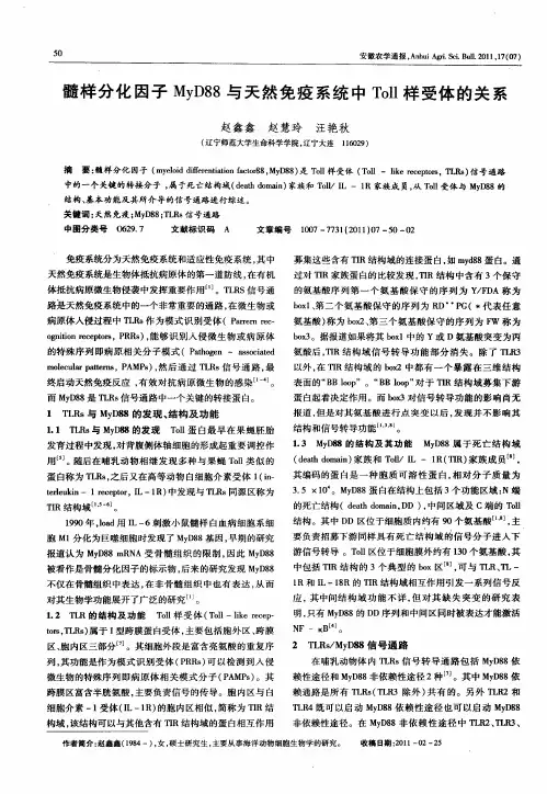 髓样分化因子MyD88与天然免疫系统中Toll样受体的关系