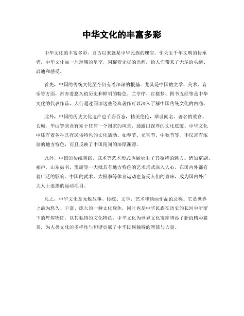 中华文化的丰富多彩