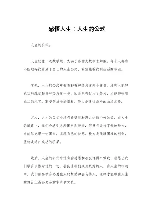 感悟人生：人生的公式
