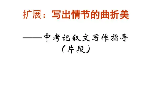 扩展——写出情节的曲折美