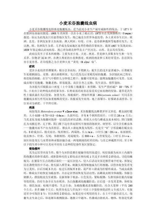 小麦禾谷胞囊线虫病简介